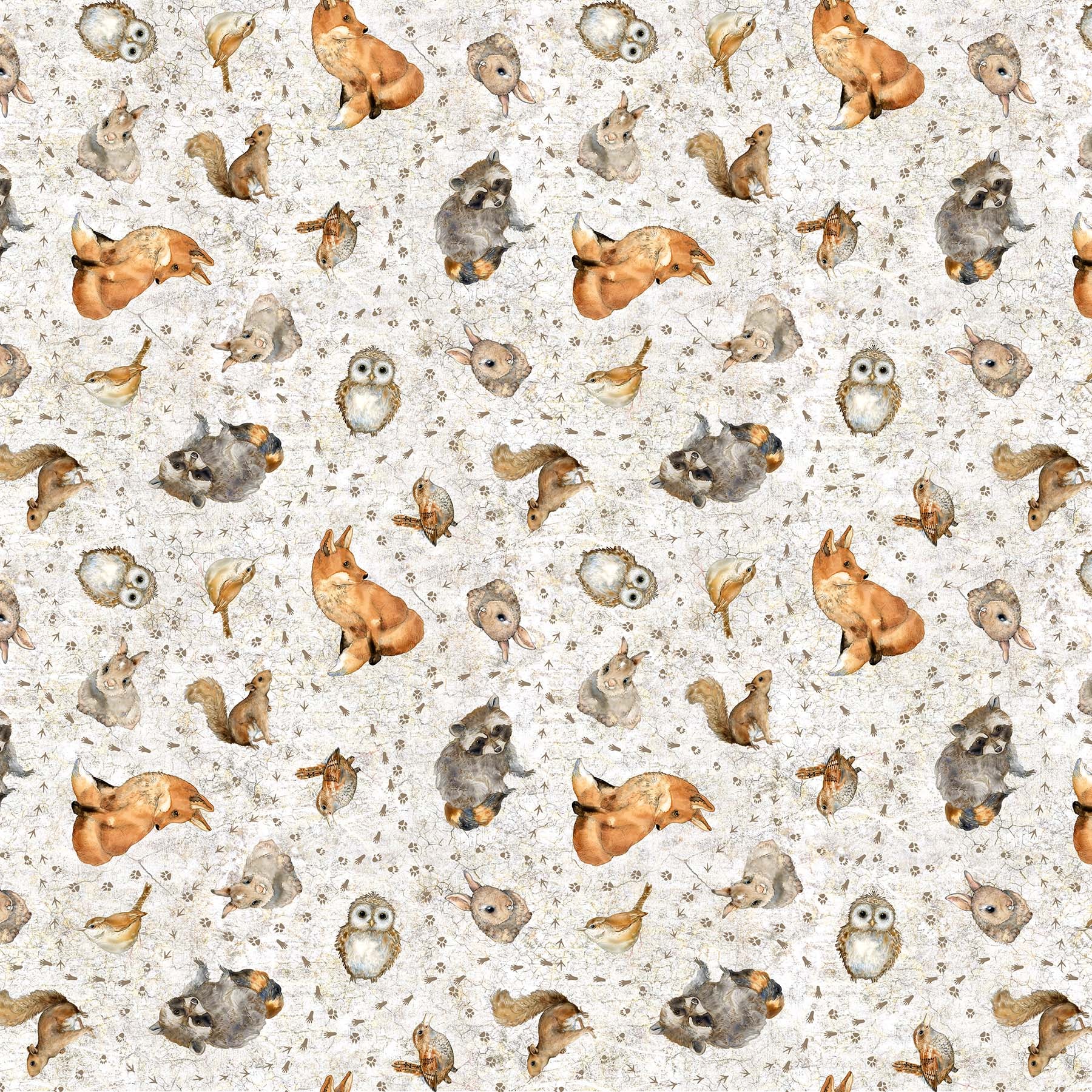 Tenderwood Collection