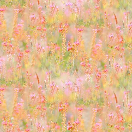 Canada Eh1 Fabric