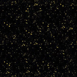 4381-BLK $12.95 for 1/2 meter