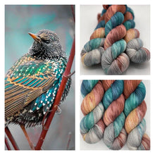 Load image into Gallery viewer, 2A-DK Yarn - Bird is the word #3 DK Double Knit $30.00/hank
