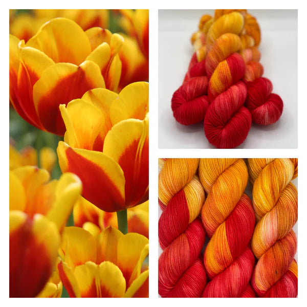 2B-DK Yarn - Total Tulips #3 DK Double Knit $30.00/hank