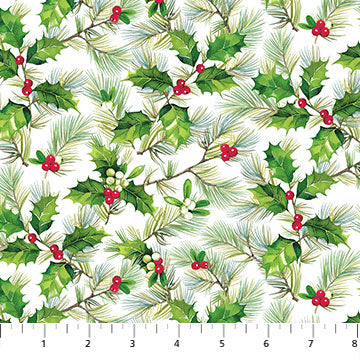 24070-10 $16.65/yd Here Comes Santa White Green Red