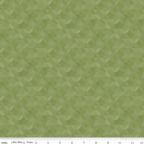 480-ASPG $16.95/yd Crayola Kaleidoscope - Asparagus Green