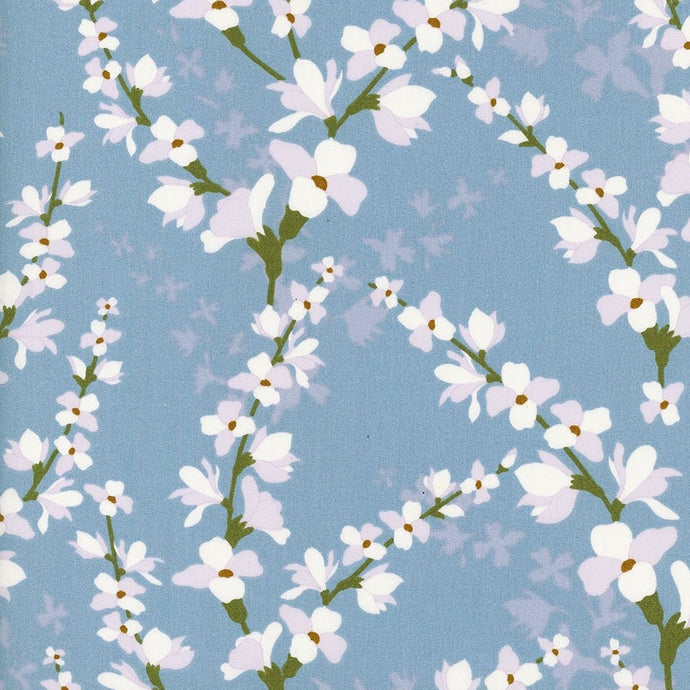 121425 $16.90/yd (Only 2.25 yards left ) white and grey flowers on medium blue